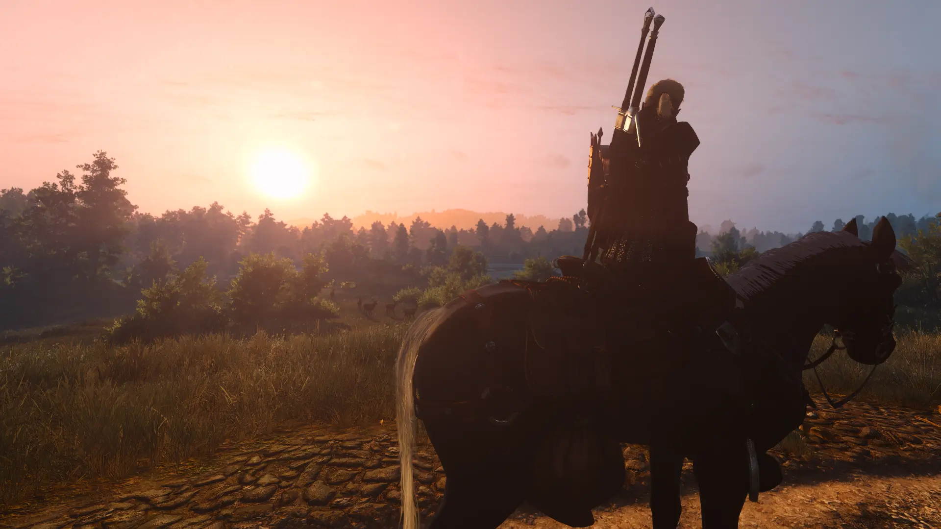 Golden Hour (Photo Mode - Weather - Time Assistant) at The Witcher 3 ...