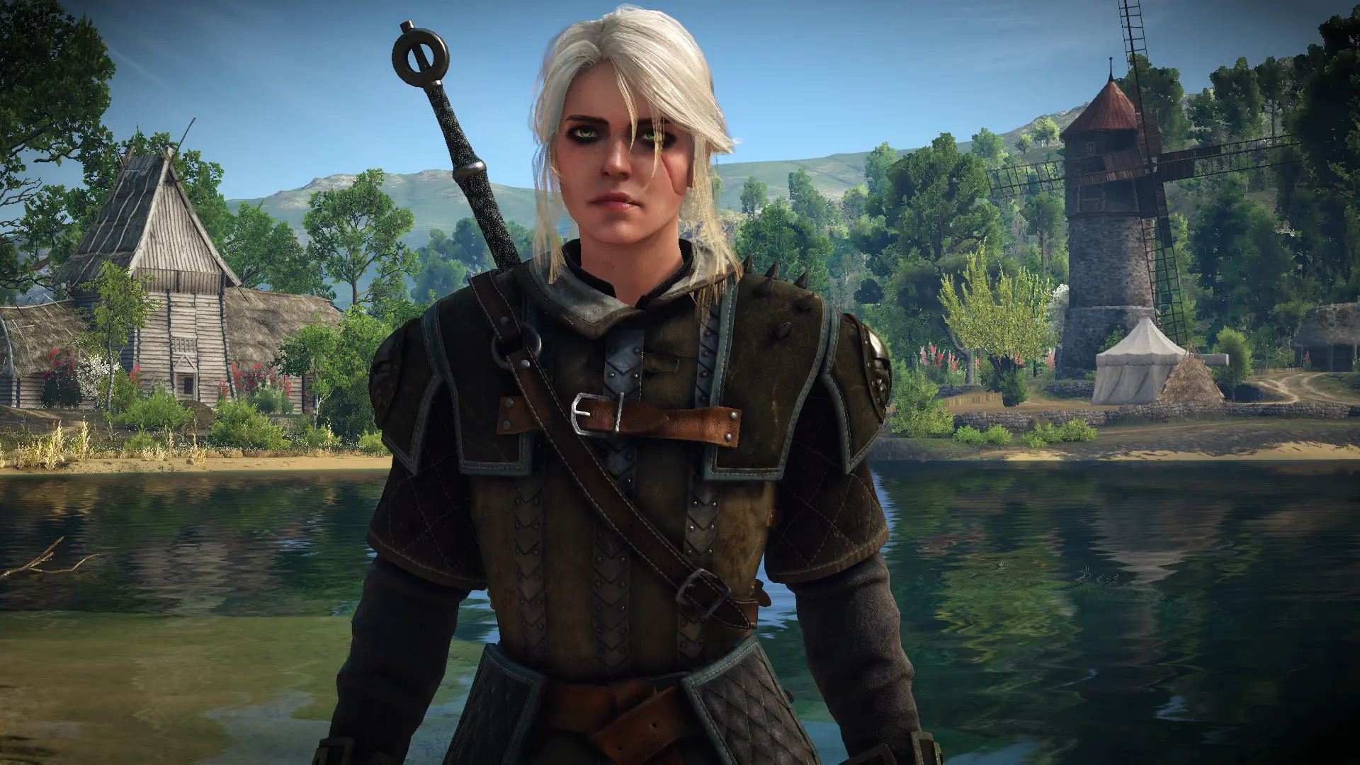 Ciri's Witcher Armor - Gryphon at The Witcher 3 Nexus - Mods and community