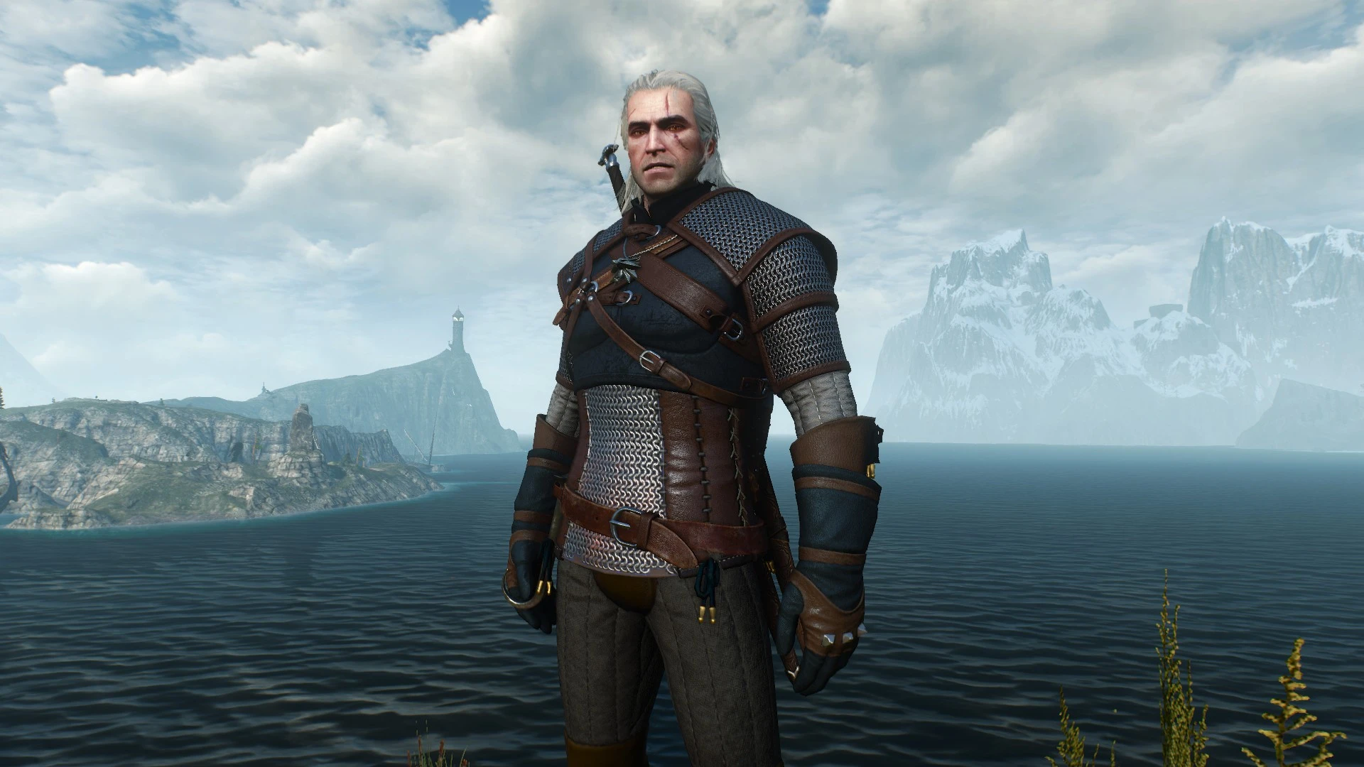 Best the witcher 3 armor фото 50