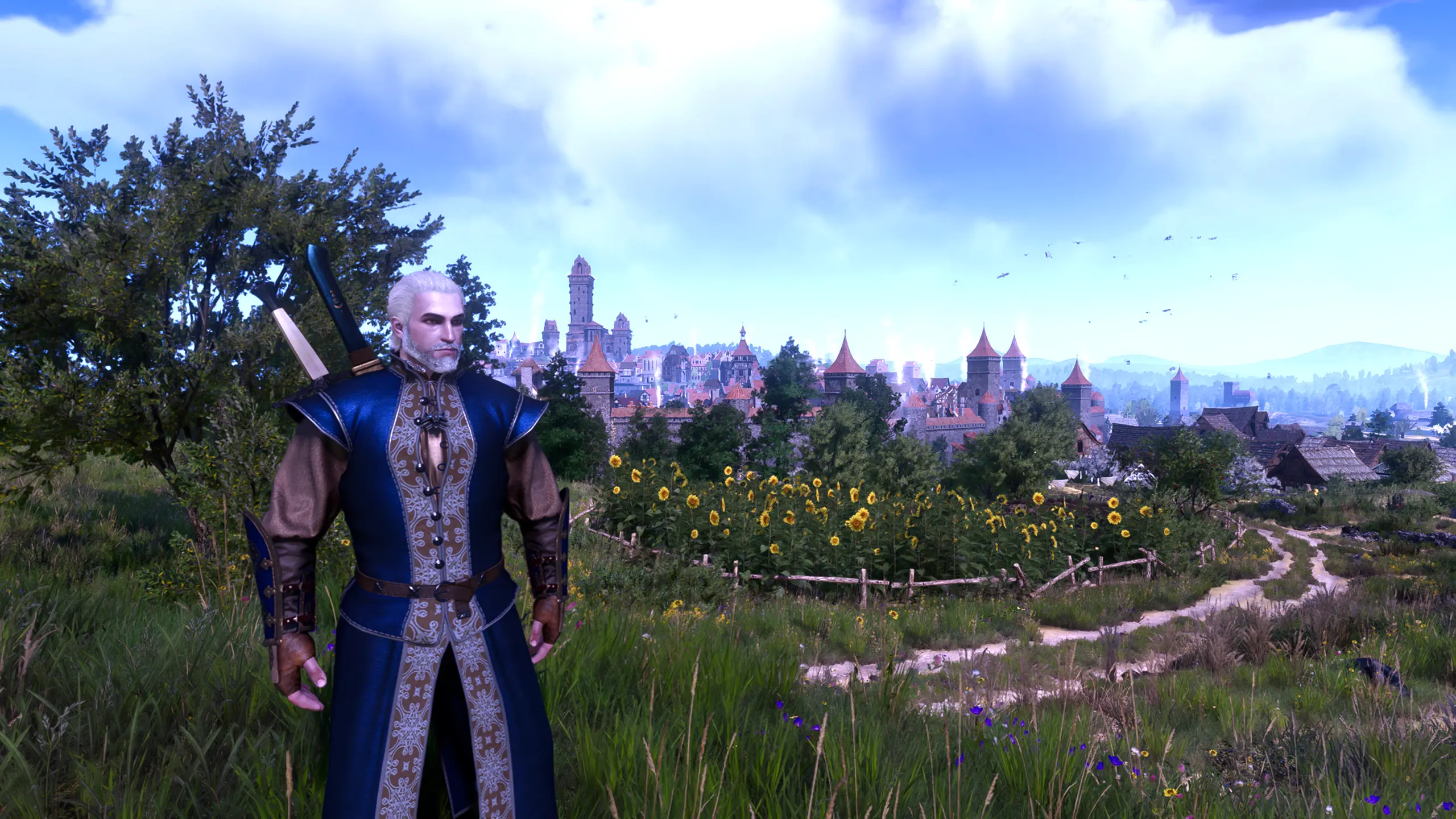 SAPPHIRE AND STEEL at The Witcher 3 Nexus - Mods and community