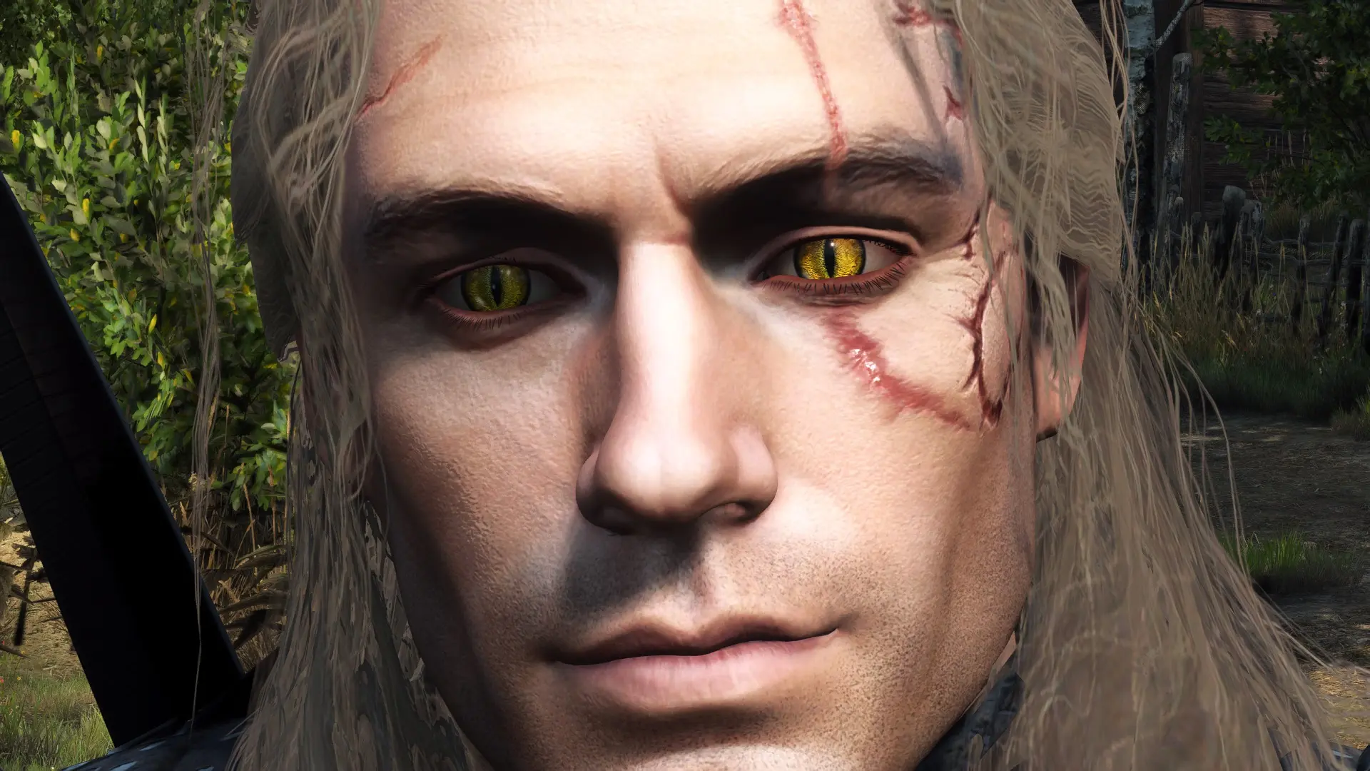 4k Beast Iris And Glowing Witcher Eyes At The Witcher 3 Nexus Mods