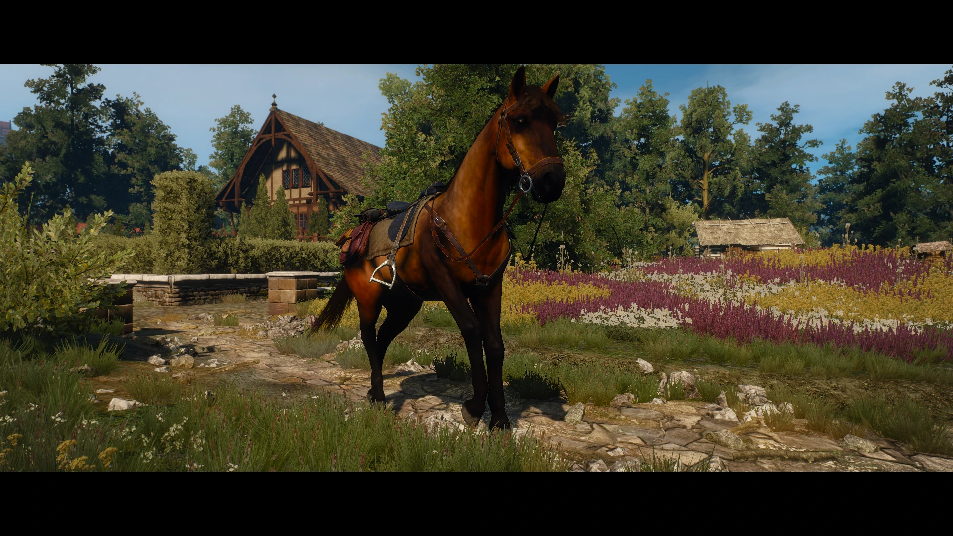 Roach Is Different At The Witcher 3 Nexus - Mods And Community