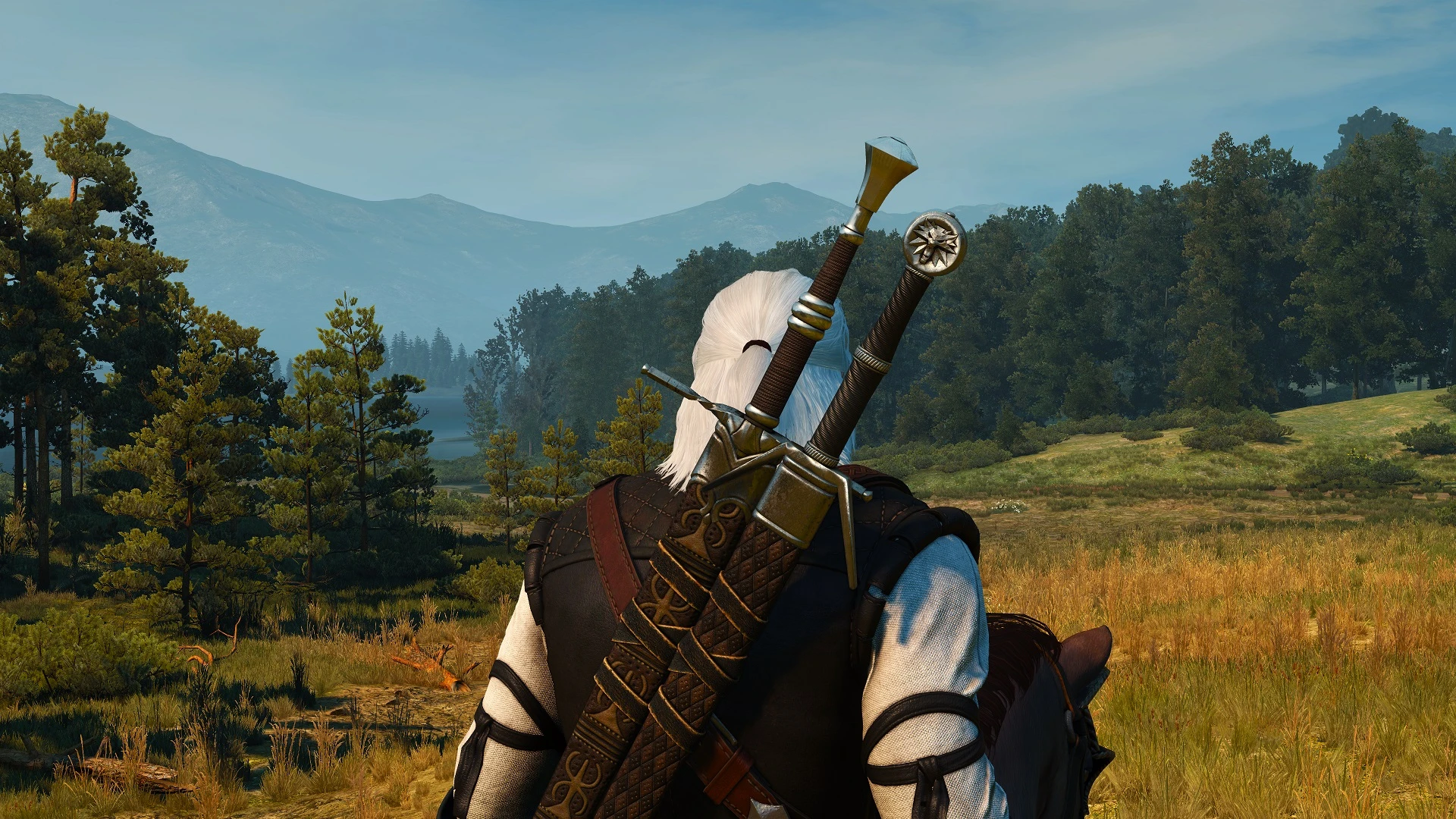 The witcher 3 e3 swords (119) фото