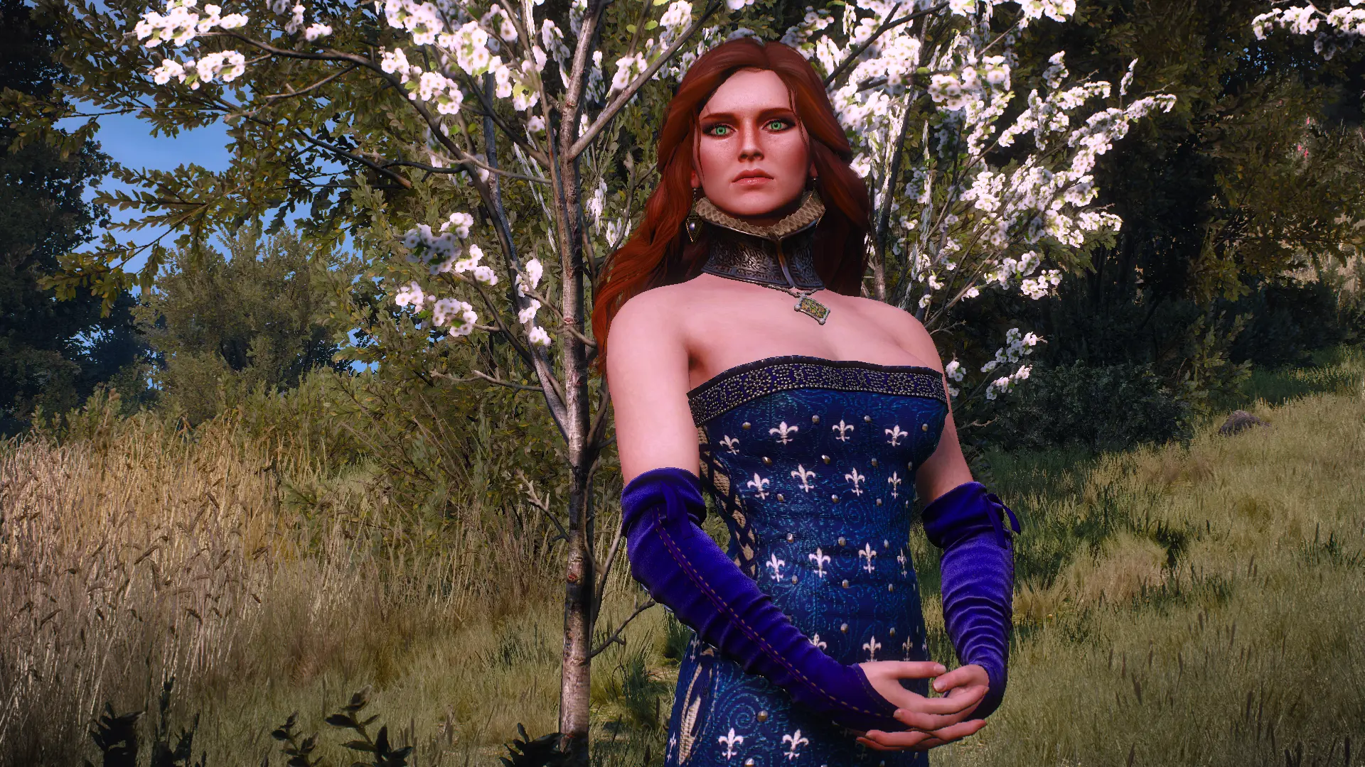 Triss Book Locks Glorified Contd At The Witcher 3 Nexus Mods And Community 9733