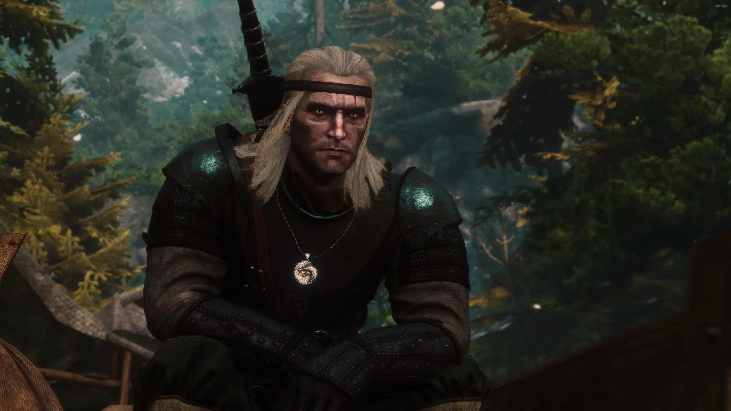 WIEDZMIN VOL.2 - LORE FRIENDLY RETEXTURE at The Witcher 3 Nexus - Mods ...