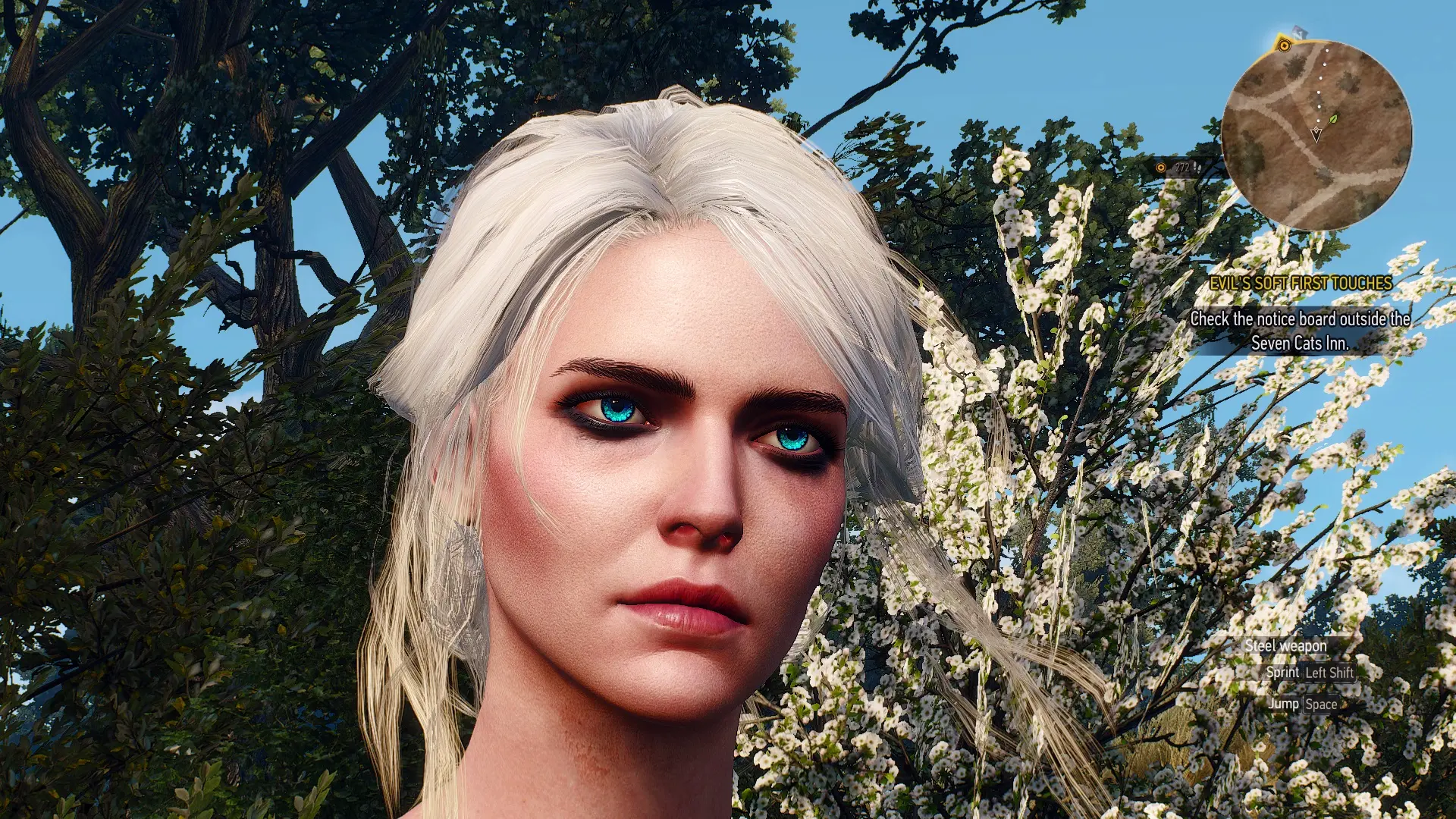 witcher 3 an eye for an eye