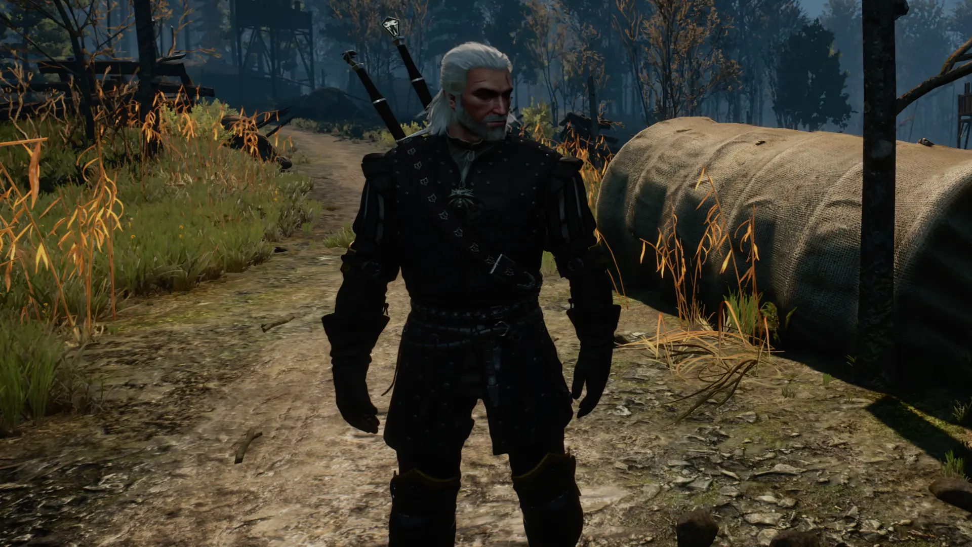 Nilfgaardian Light Armor at The Witcher 3 Nexus - Mods and community