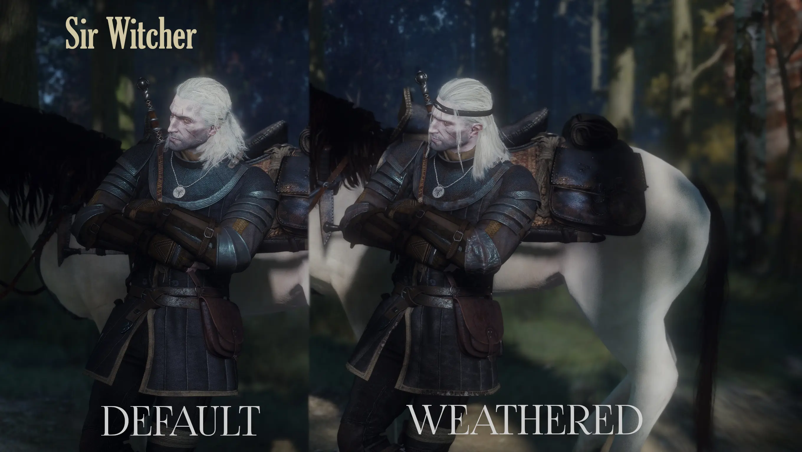 WIEDZMIN VOL.3 - Semi Lore-Friendly Retextures at The Witcher 3 Nexus ...