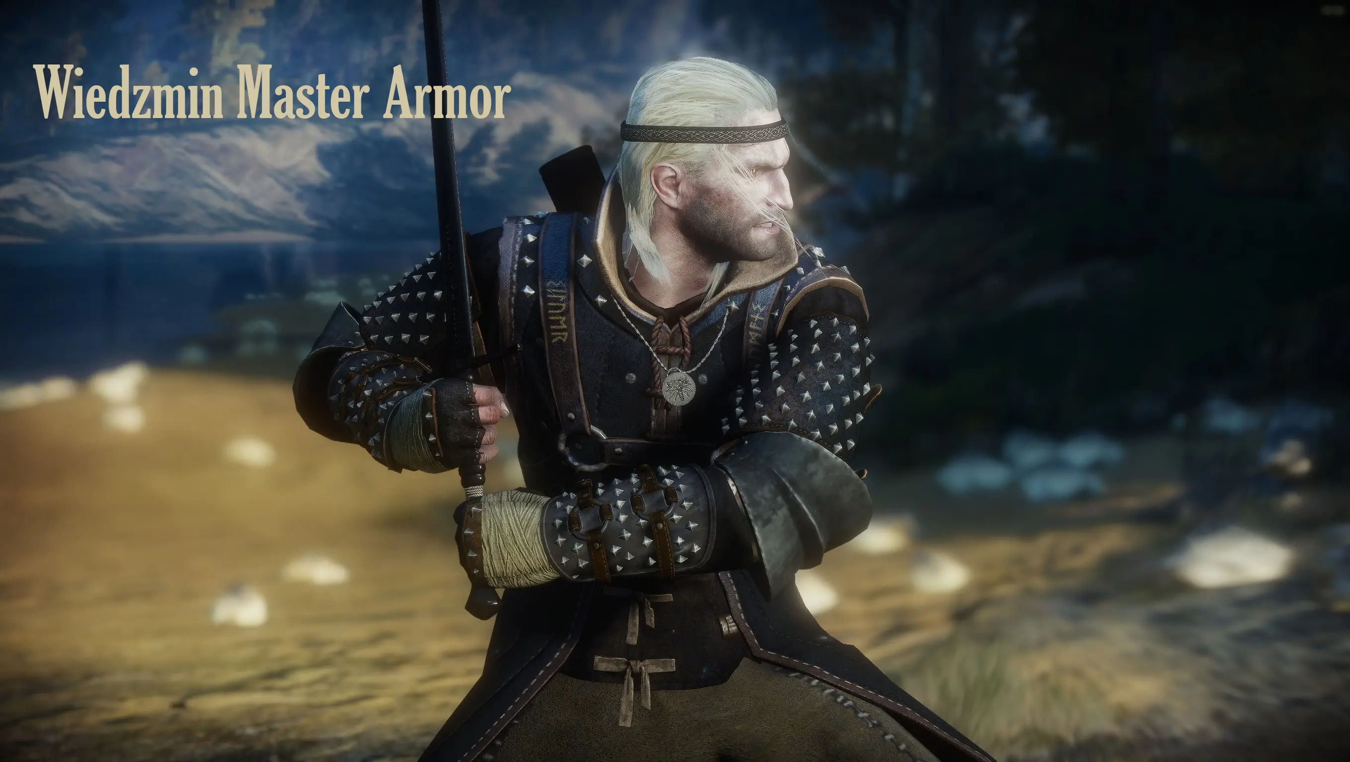 WIEDZMIN VOL.3 - Semi Lore-Friendly Retextures at The Witcher 3 Nexus ...