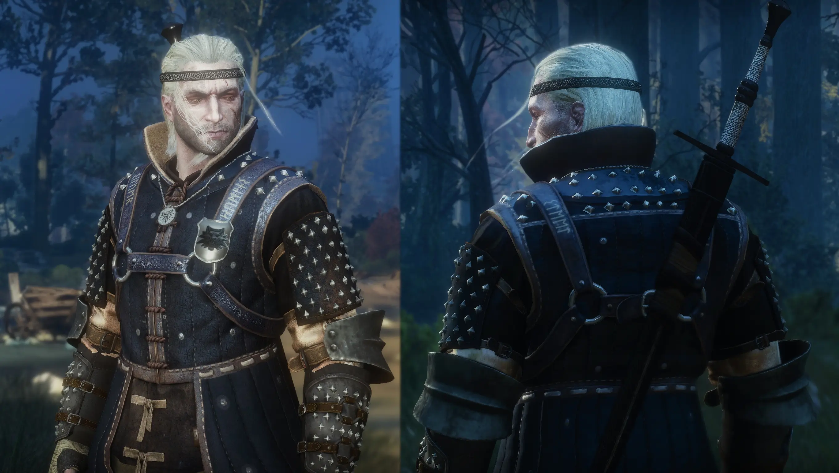 WIEDZMIN VOL.3 - Semi Lore-Friendly Retextures at The Witcher 3 Nexus ...