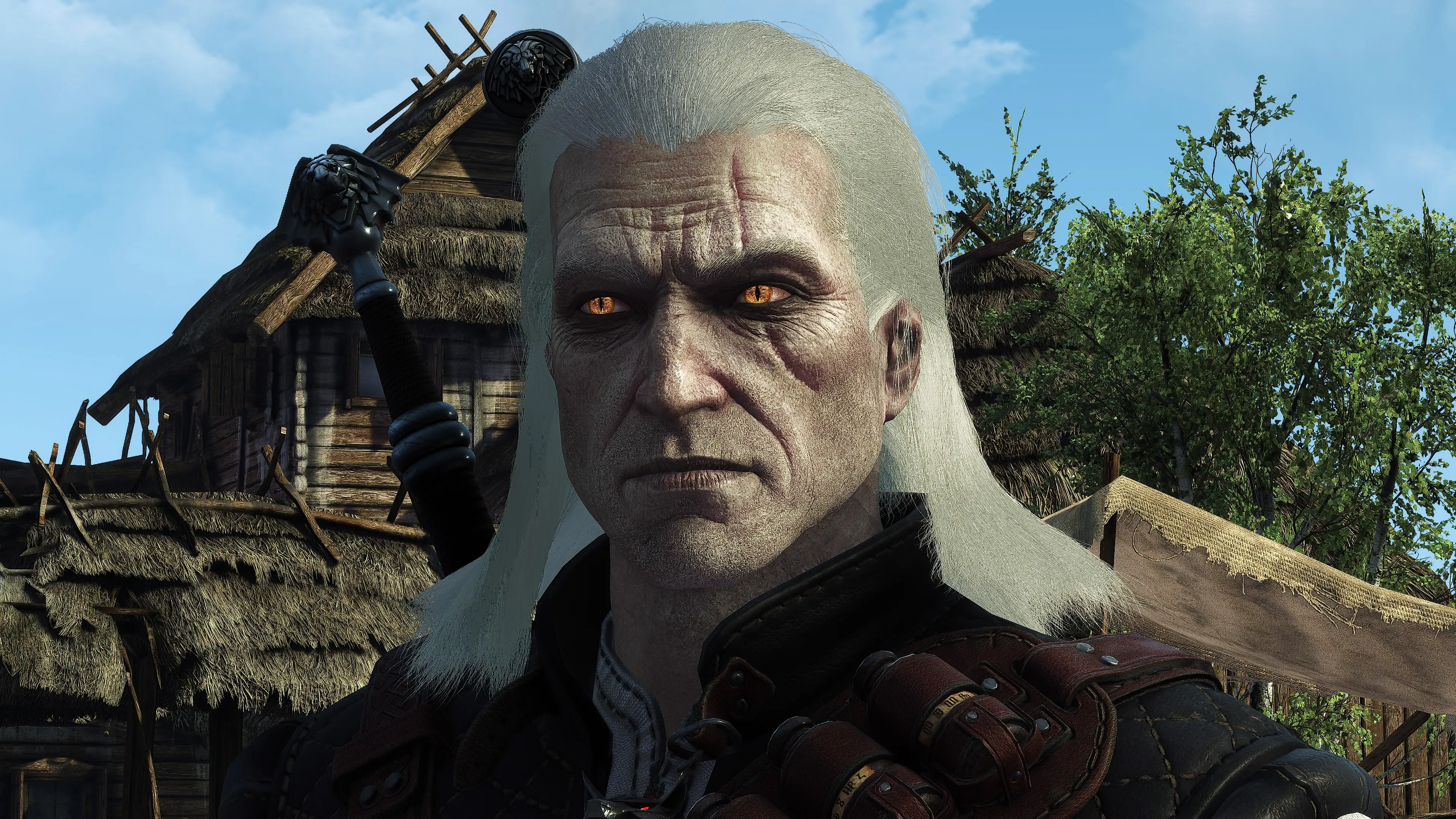 The White Wraith of Rivia at The Witcher 3 Nexus - Mods and community