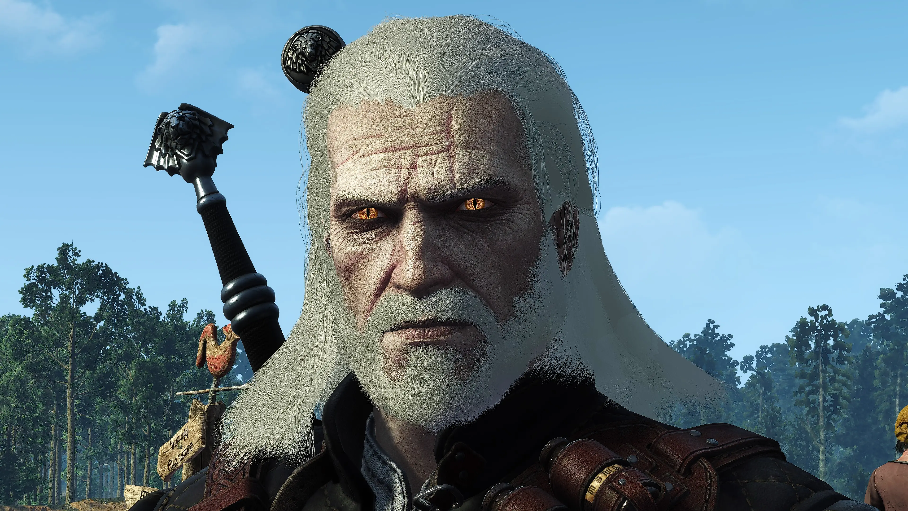 The White Wraith of Rivia at The Witcher 3 Nexus - Mods and community