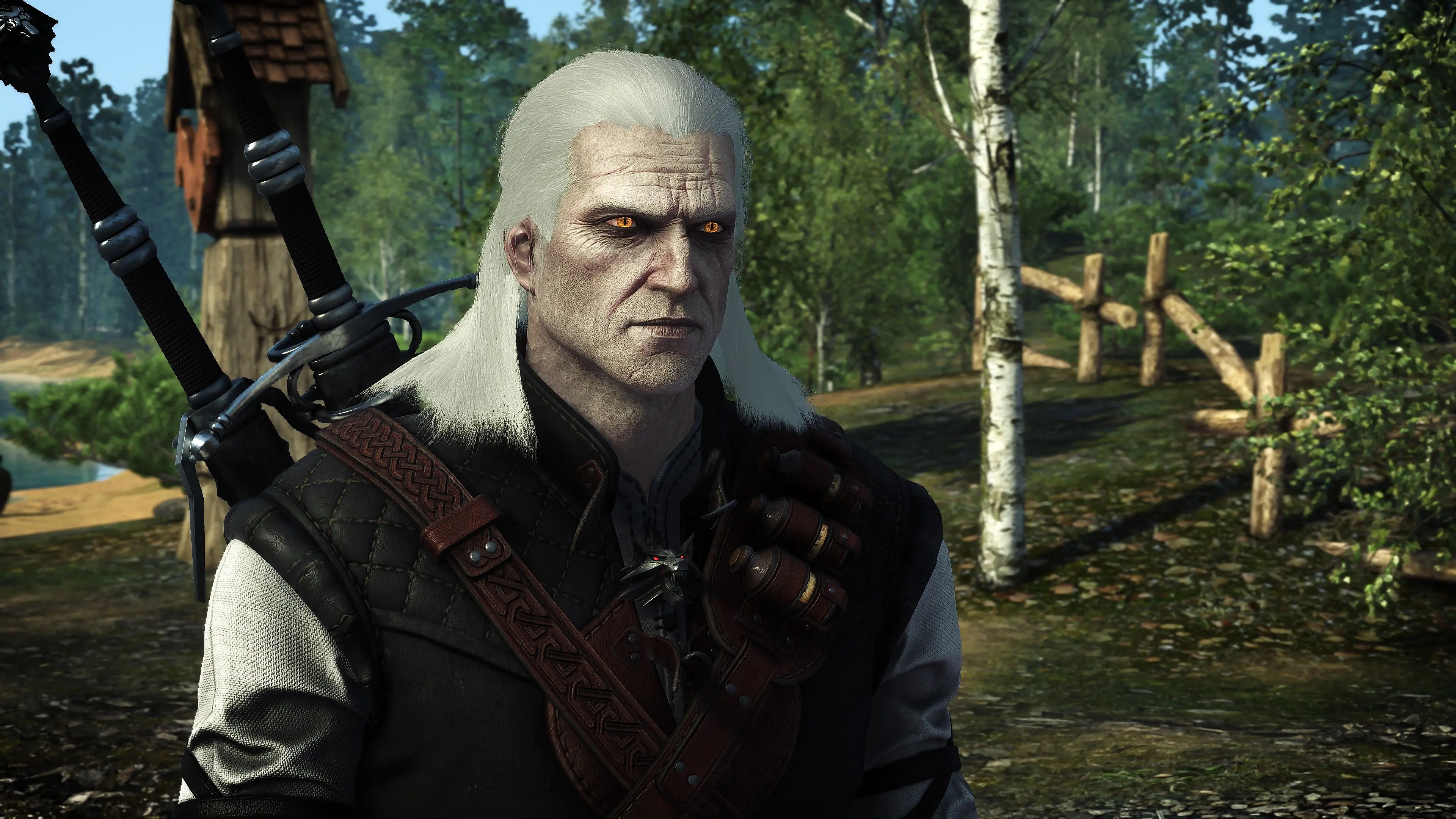 The White Wraith of Rivia at The Witcher 3 Nexus - Mods and community