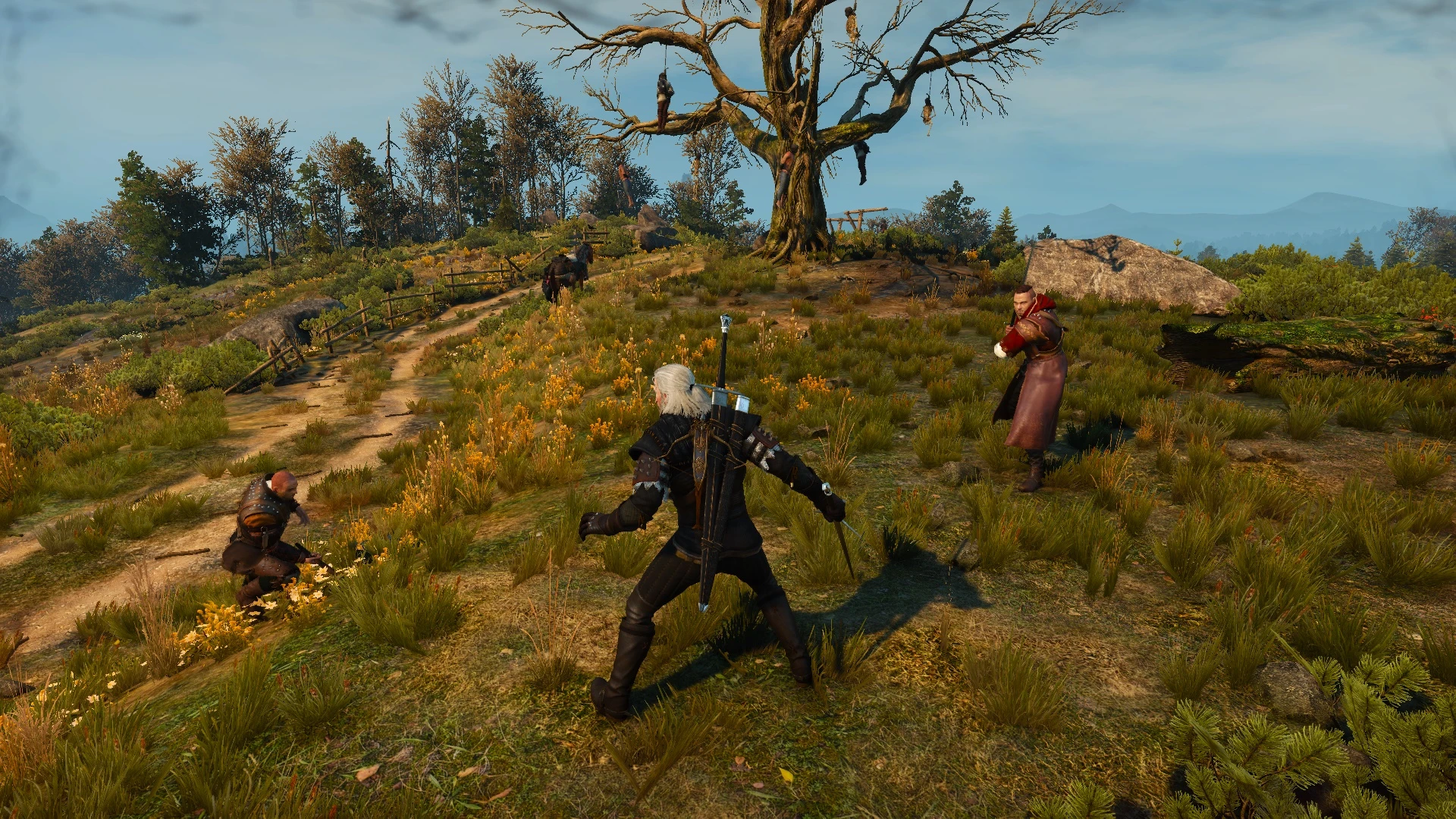 the witcher combat mod