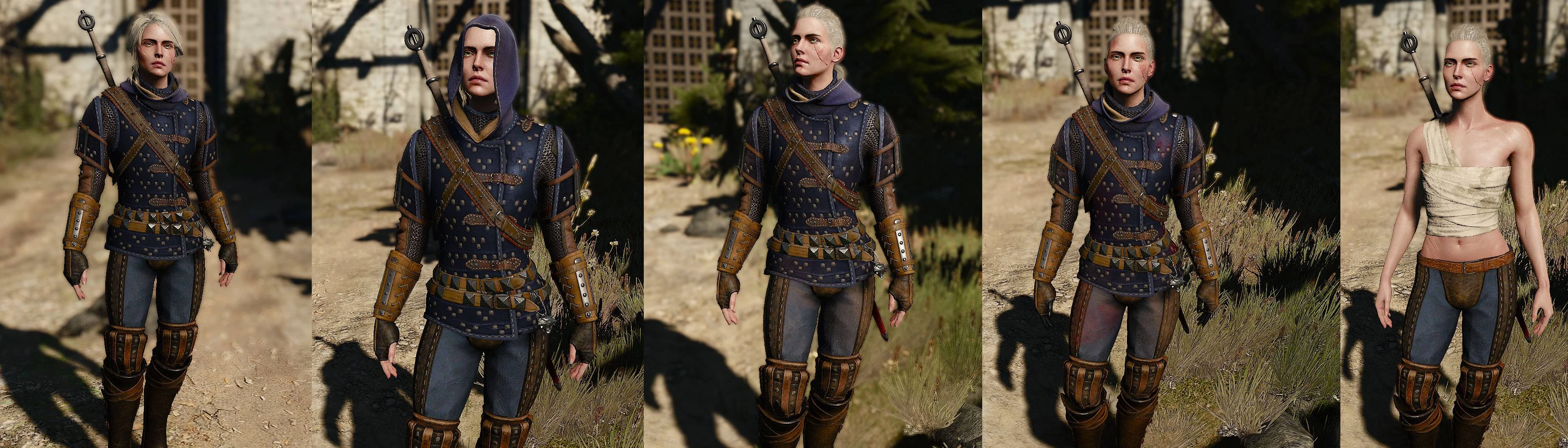 Ciri of Cat School at The Witcher 3 Nexus - Mods and community