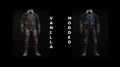 Temerian DLC Armor Set