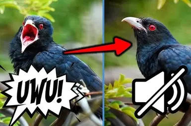 Misophonia - Muted birds and insects