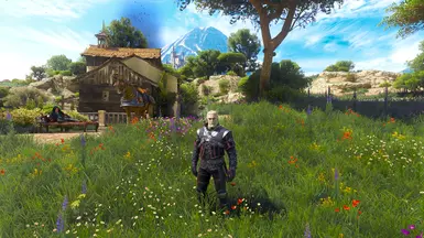 v1.1, Raytracing, Filterless Toussain mod