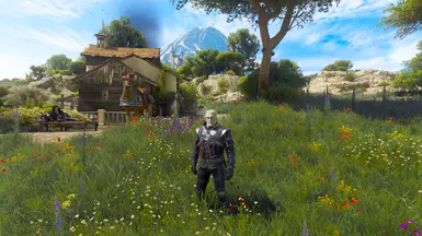 Filterless Toussaint - Reshade OFF, Raytracing