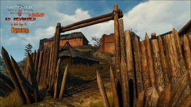 The Witcher 3 HD Reworked Project at The Witcher 3 Nexus - Mods and  community