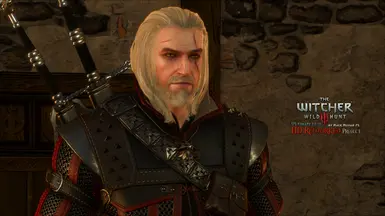 The Witcher Texture Mod 1080p HD 