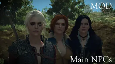 the witcher 3 mods