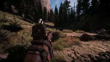 Kaer Morhen, Horsing Around