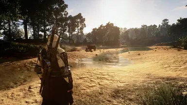 White Orchard, Morning