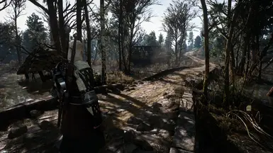 White Orchard, Daytime