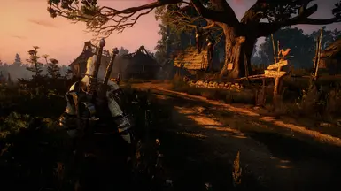 White Orchard, Sunset