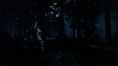 White Orchard, Night Time
