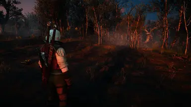 Velen, Sunset