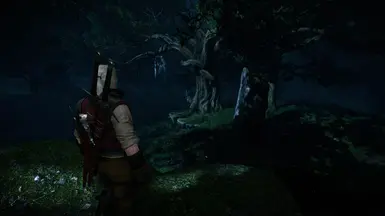 Velen, Night Time