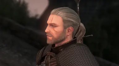 1.1 Darkened Stubble