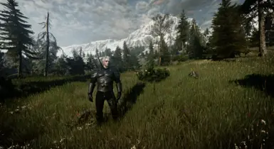 Reshade