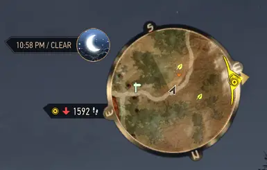 Bronze Compass