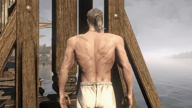 Year One Definitive Paler Edition