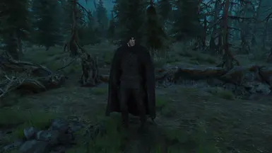 overhaul mod