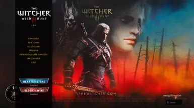 10th year main menu