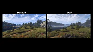 depth of field only