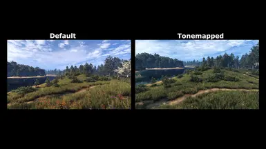 tonemap changes only