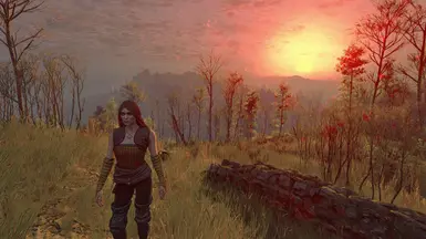 Mod with Adaptive Fog Enabled