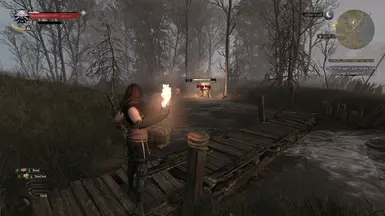 Mod with Adaptive Fog Enabled