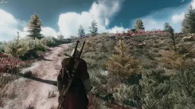 new dof and removed red tint