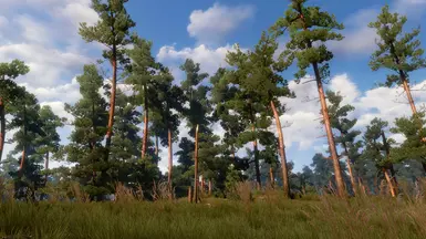 witcher3 e3 2