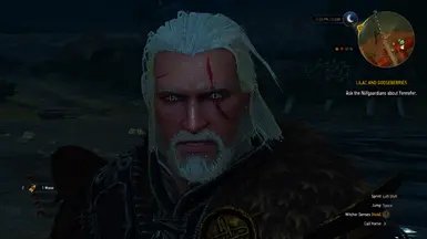 geralt night