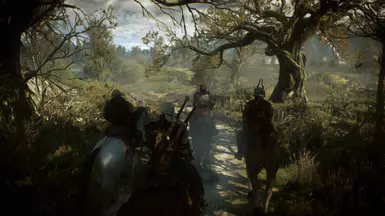 Nilfgaardian escort