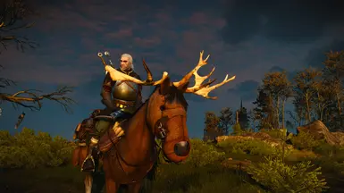 The least scavaged parts horse blinder 1