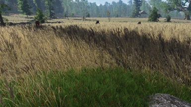 Grass and Foliage Distance Extreme Graphic Setting