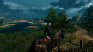 with Toussaint Grass in Velen and Novigrad